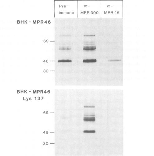 Fig.6