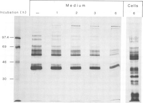 Fig.8