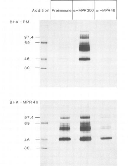 Fig.3