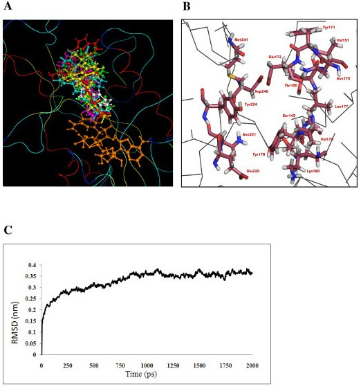 Figure 4