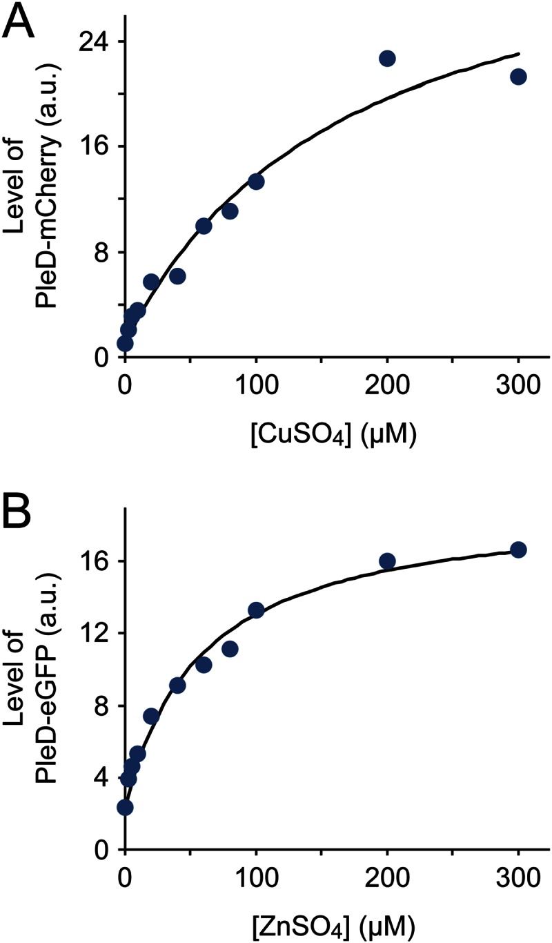 FIG 6