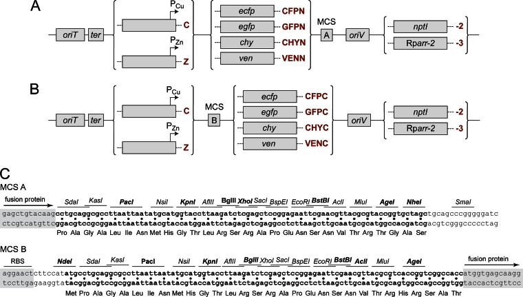 FIG 8