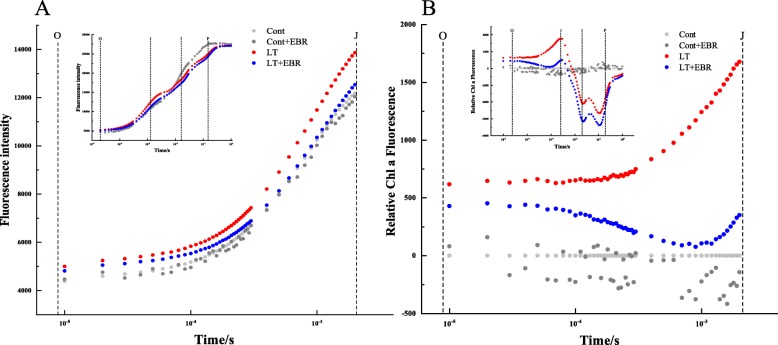 Fig. 12