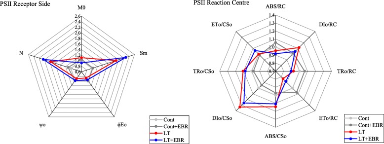 Fig. 13