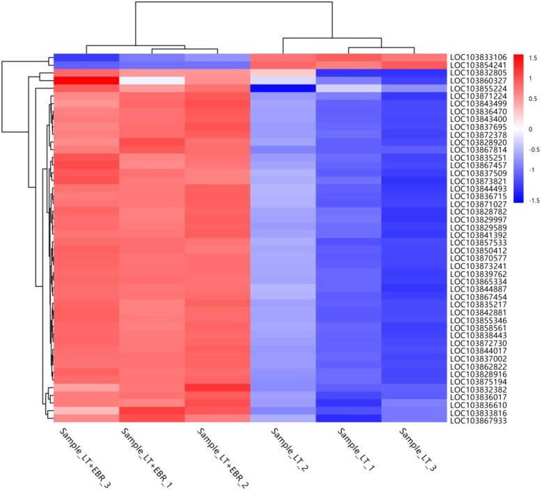 Fig. 9