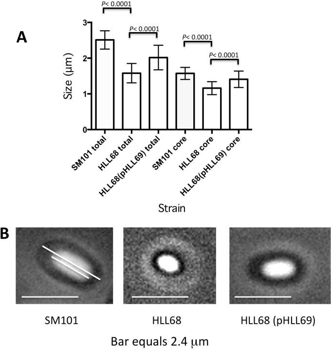 FIG 5