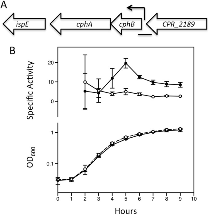 FIG 4