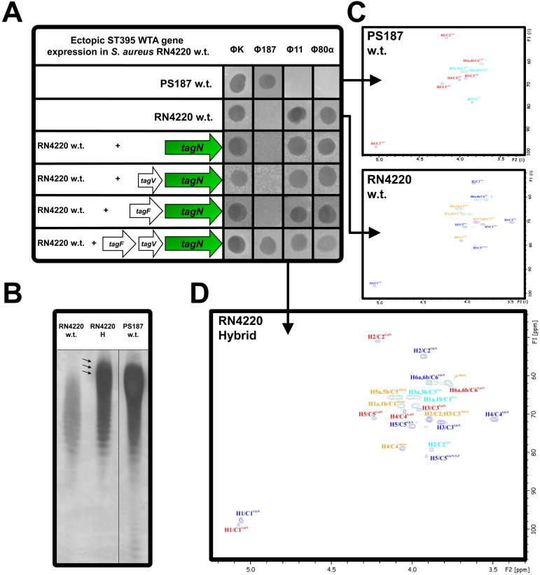 FIG 6 