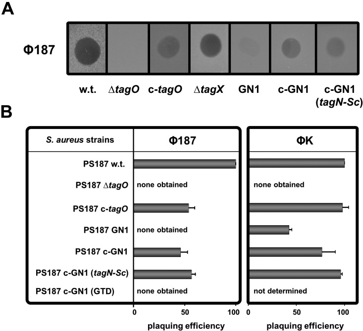 FIG 4 