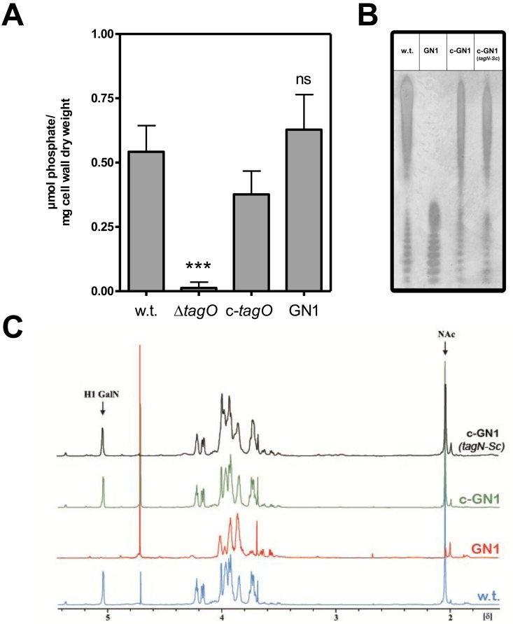 FIG 3 