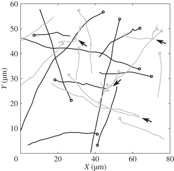 Figure 2.