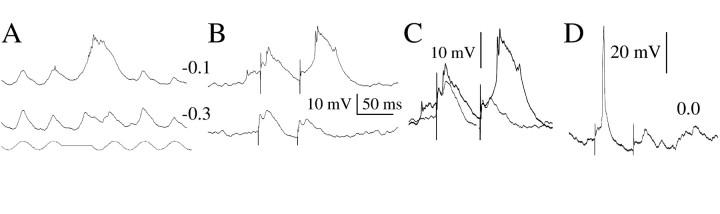 Fig. 11.