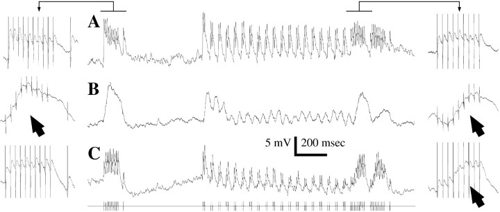 Fig. 9.