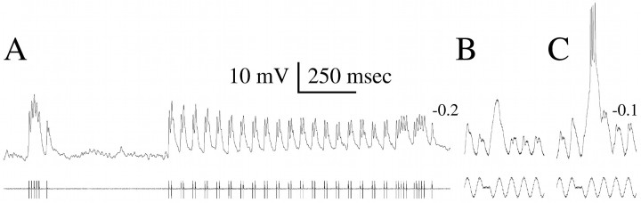 Fig. 12.