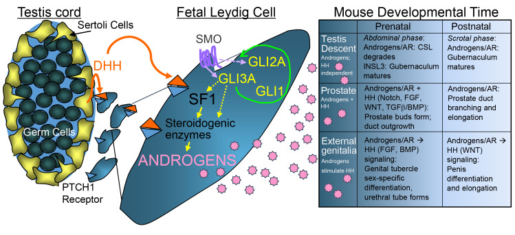 Fig 8