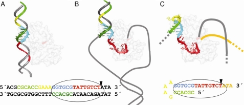 FIGURE 5.