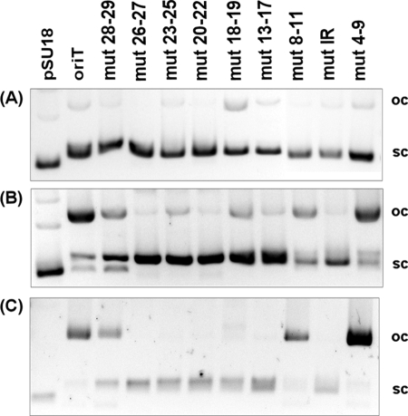 FIGURE 4.