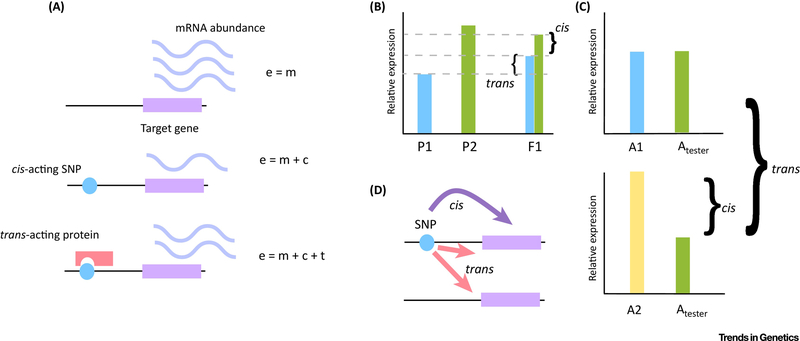 Figure 1: