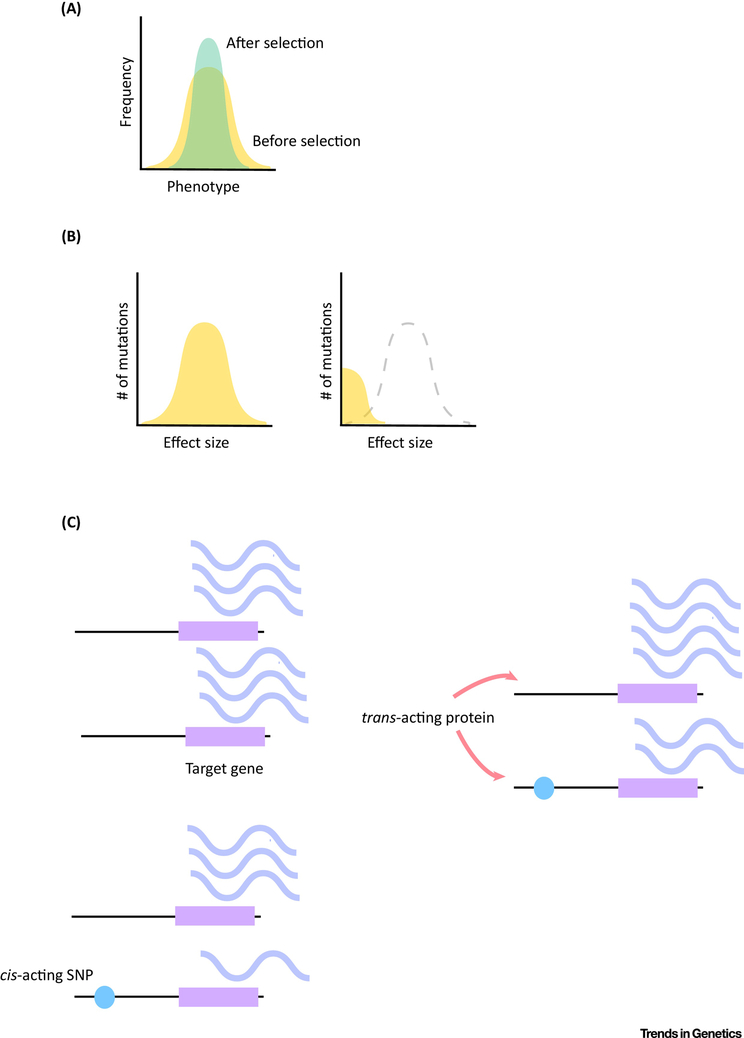 Figure 2)