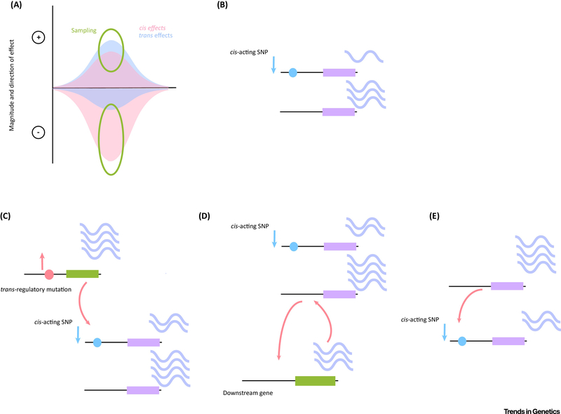 Figure 3)