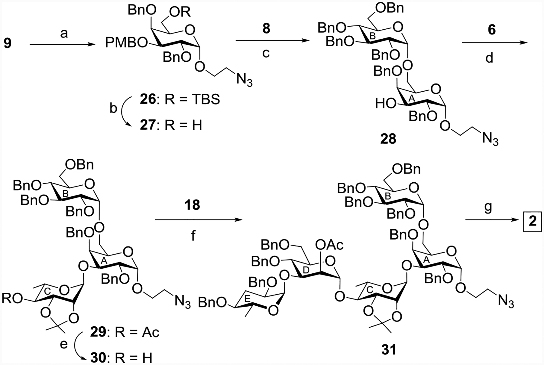 Scheme 6: