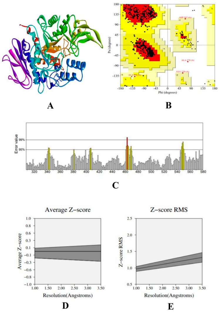 Figure 4