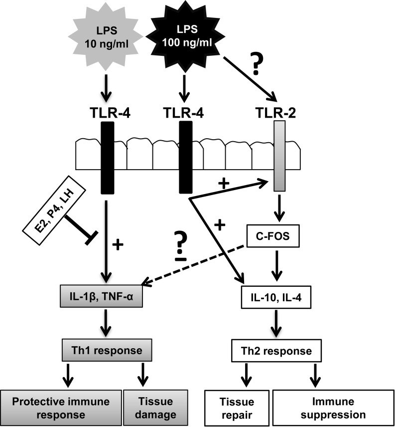 Fig. 6.