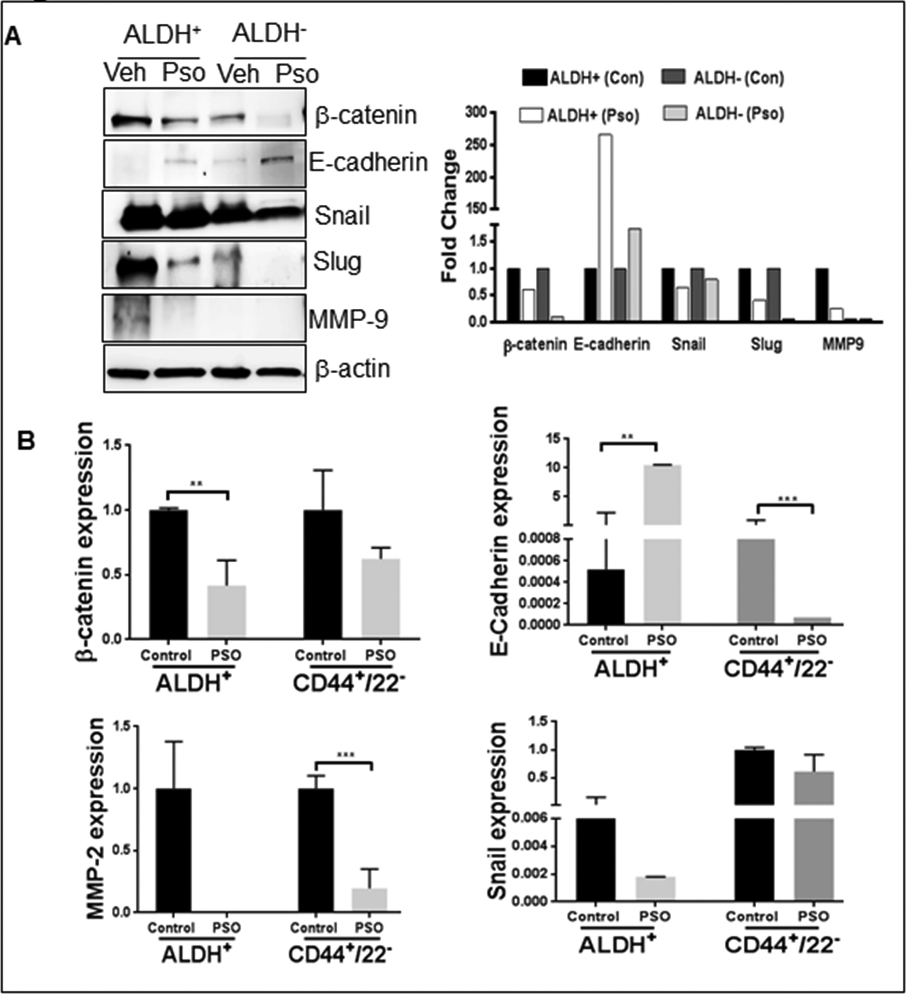 Figure 6: