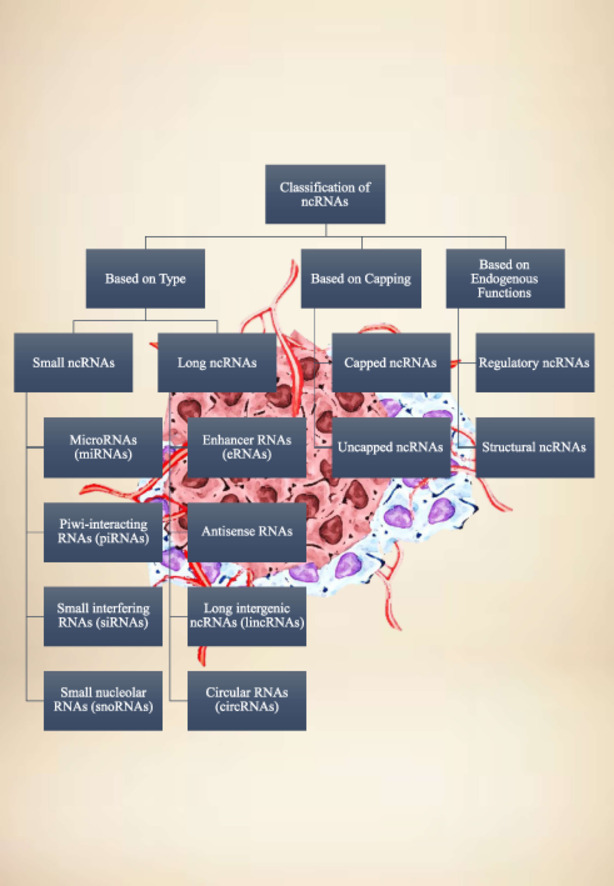 Image, graphical abstract