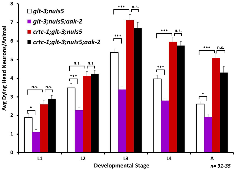 Figure 7: