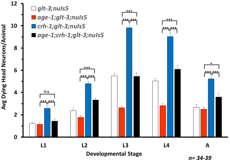 Figure 3: