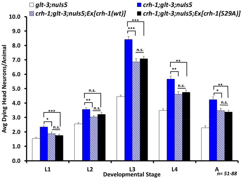 Figure 10: