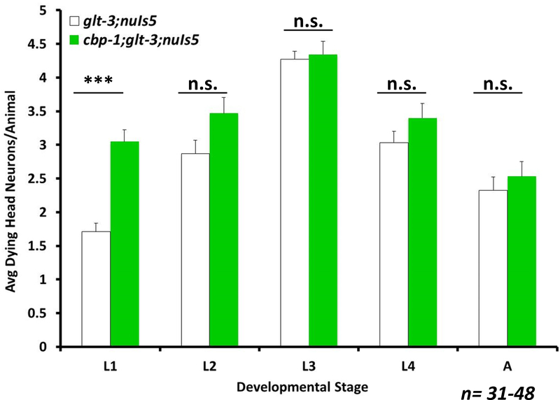 Figure 5: