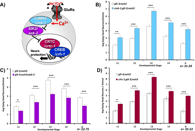 Figure 6: