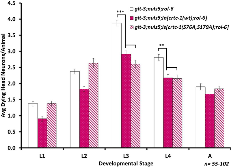 Figure 9: