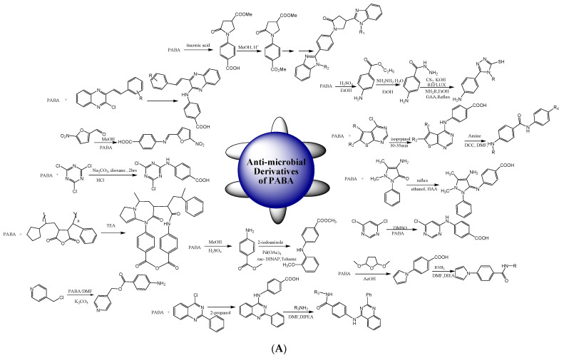 Scheme 2