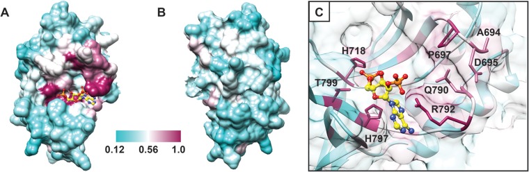 FIG 9