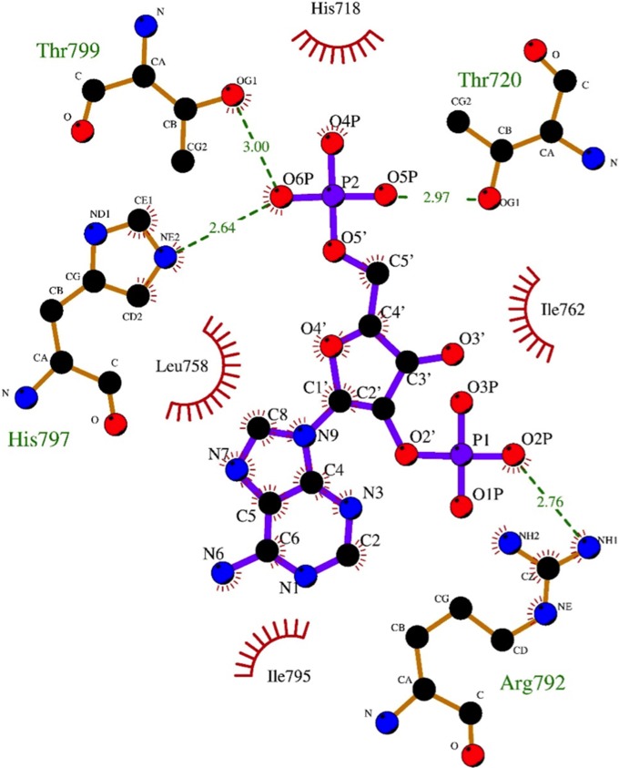 FIG 4