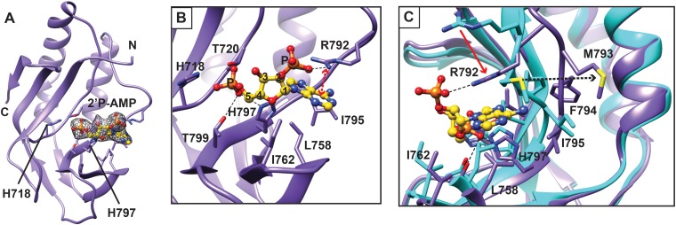 FIG 3