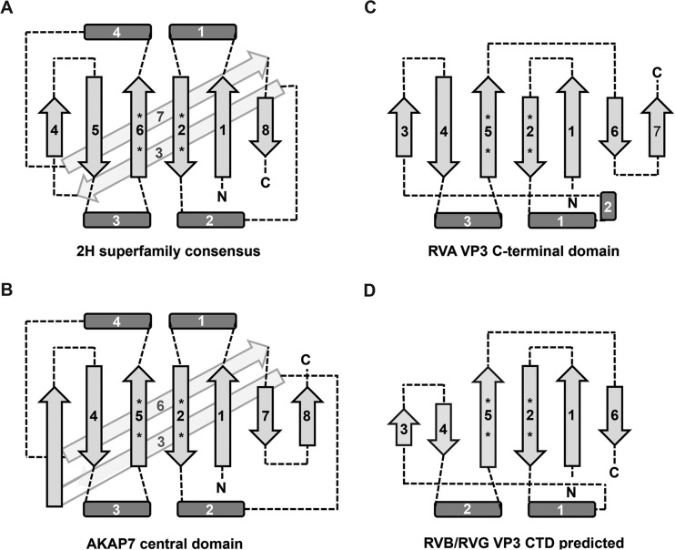 FIG 2