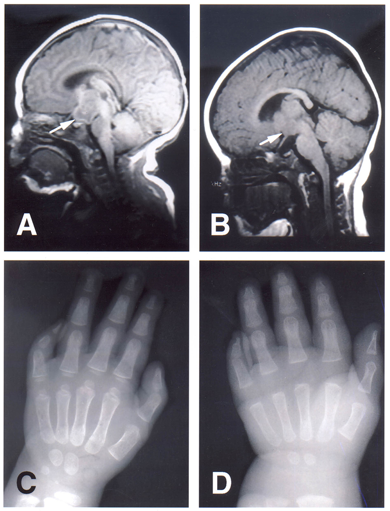 Figure 2: