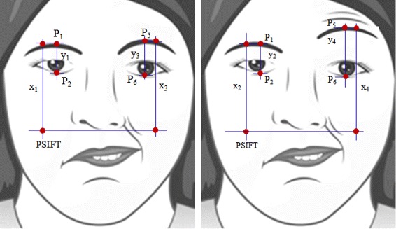 Fig. 11