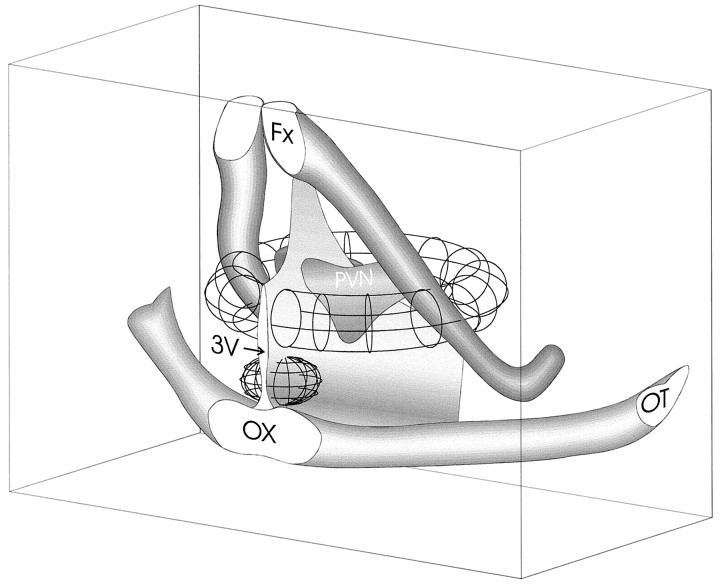 Fig. 9.