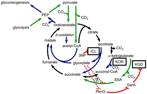 Figure 7