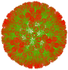 Fig 8