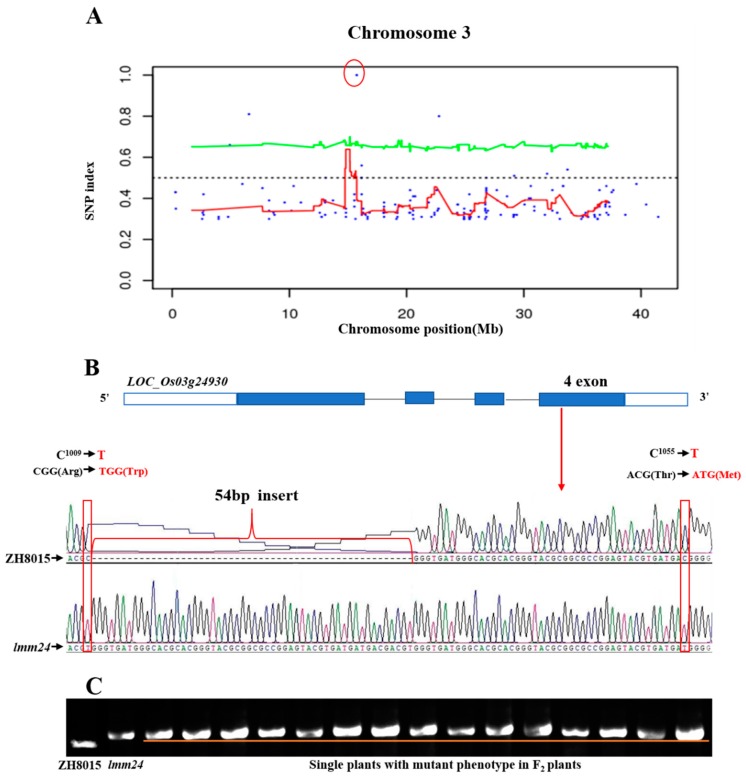 Figure 5