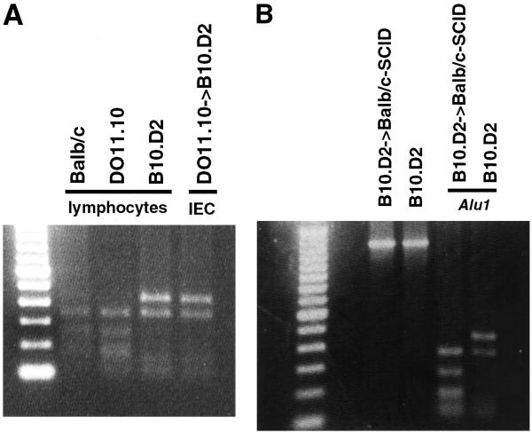 Fig 4.