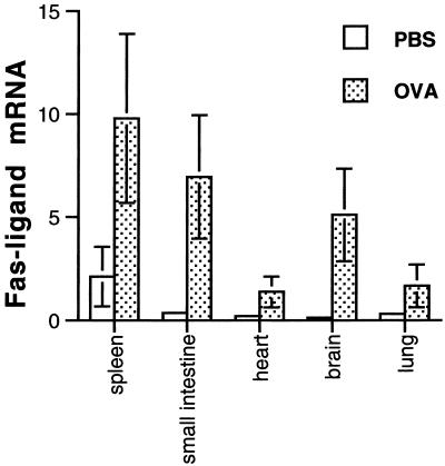 Fig 2.