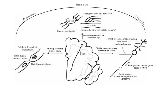 FIGURE 3