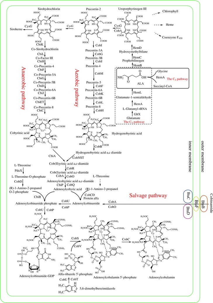 Fig. 1